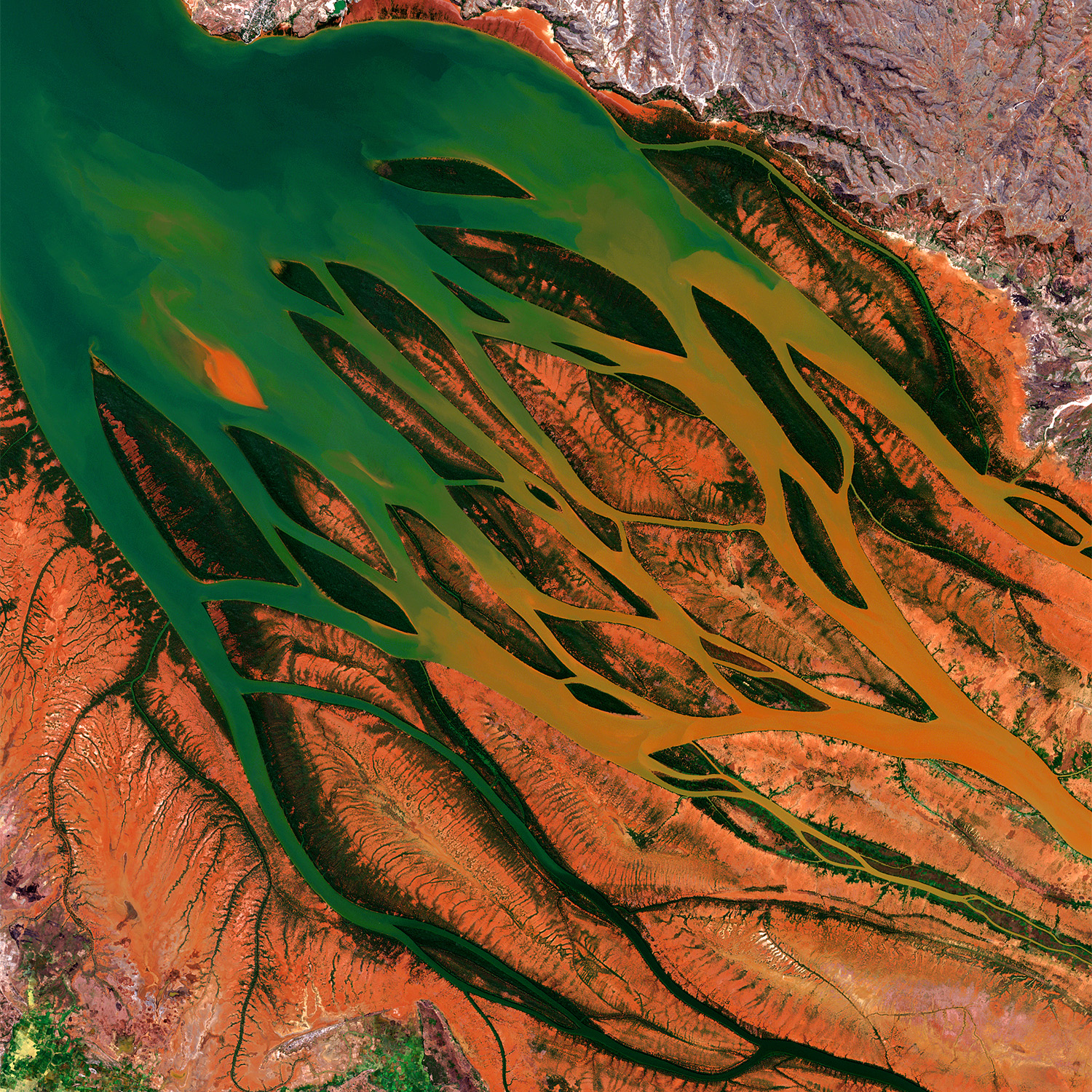 Read more about the article Satellite image of the month – November 2020